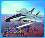 F-14 Tomcat "Felix 101" Mouse Pad